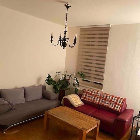 Schone Altbauwohnung Mit Grun In Ruhiger Lage ライプツィヒ エクステリア 写真