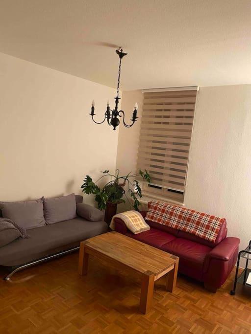 Schone Altbauwohnung Mit Grun In Ruhiger Lage ライプツィヒ エクステリア 写真