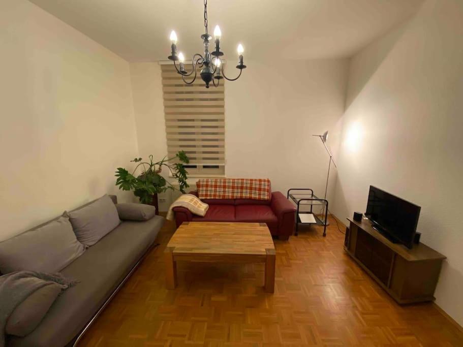 Schone Altbauwohnung Mit Grun In Ruhiger Lage ライプツィヒ エクステリア 写真